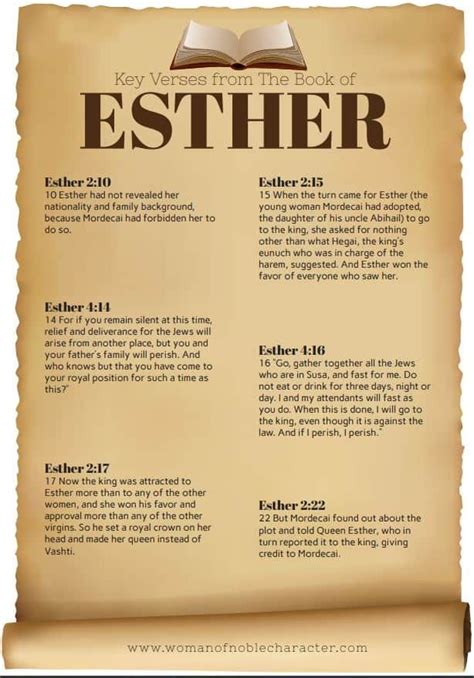 This version is published by tyndale house publishers, inc and this particular edition at the beginning of each book of the bible, there is important information about the book that's great to read before you start reading so you have some. Key verses from the book of Esther | Esther bible, Bible ...