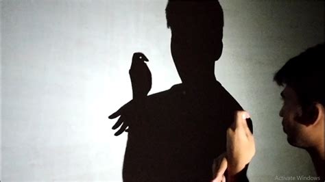 How To Make Bird Shadow By Hand Iii Amazing Hand Shadow Performance