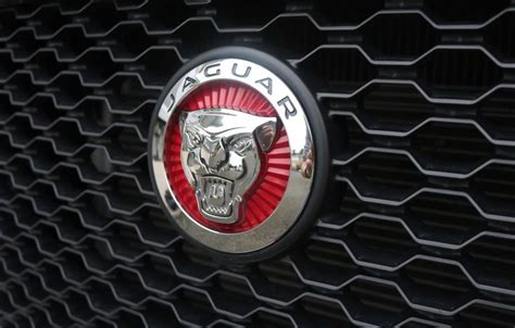 Never Underestimate The Influence Of Jaguar Brand | jaguar brand https