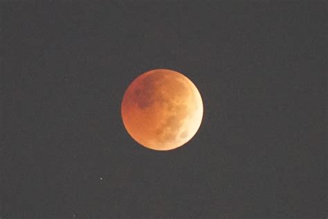 Lunar Eclipse From Nyc Rastrophotography