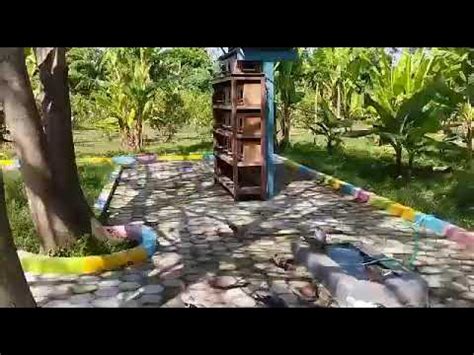 Wisata Edukasi Kampung Kuto Purwosari Kudus - YouTube