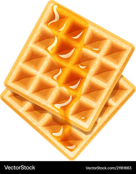 Belgian Waffle With Honey Royalty Free Vector Image