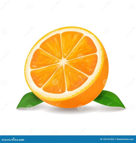 Half Of Orange Vector Illustration Icon Stock Vector Illustration Of