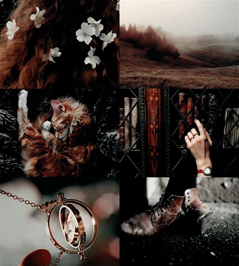 Hermione jean granger (née le 19 septembre 1979) est une fille sorcière de muggles. Hermione Granger 2/2: "books! and cleverness! there are more important things — friendship and ...