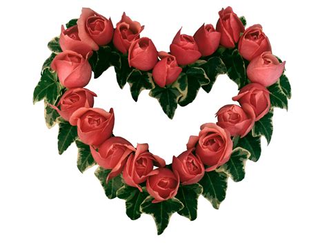 Please contact us if you want to publish a cute love wallpaper on our site. دردشة سيدات النافذة الاجتماعية : شـــاركي بـ وردة **للنساء ...