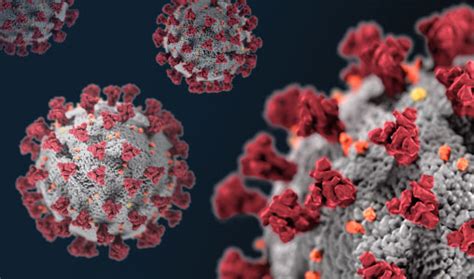 Because it is a new virus, scientists are learning more each day. CORONAVIRUS - COVID-19