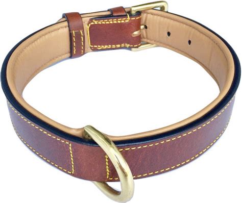The 25 Best Dog Collars of 2019 - Pet Life Today