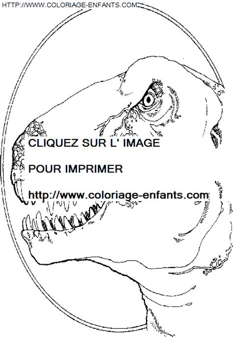 Coloriage dinosaure jurassic park gratuit à colorier  dinosaure