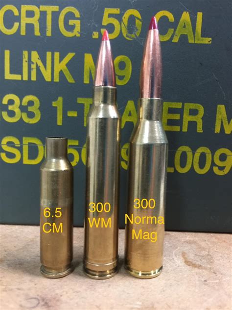 Norma 300 Win Mag Ammo For Sale