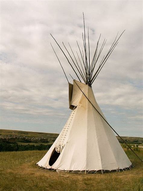 Pin On Blackfoot Blackfeet Culture