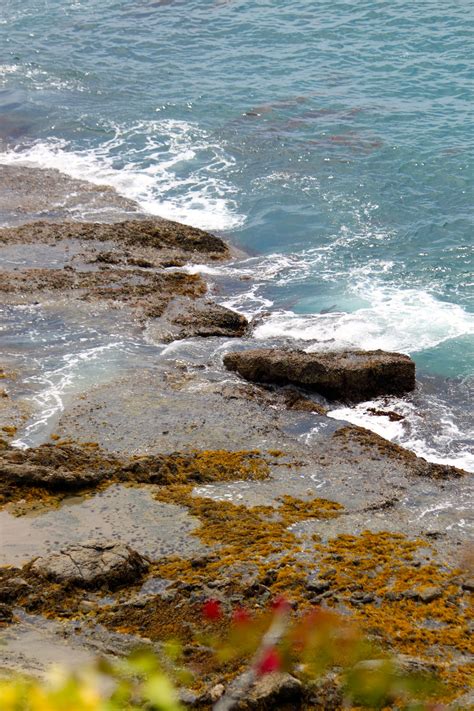 Rent a whole home for your next weekend or holiday. Treasure Island Tide pools in Laguna Beach, California ...