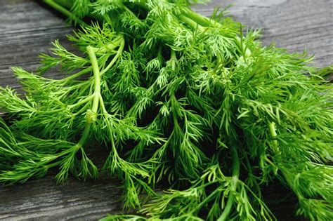 What To Do With Dill To Enhance Your Cooking And 4 Recipes
