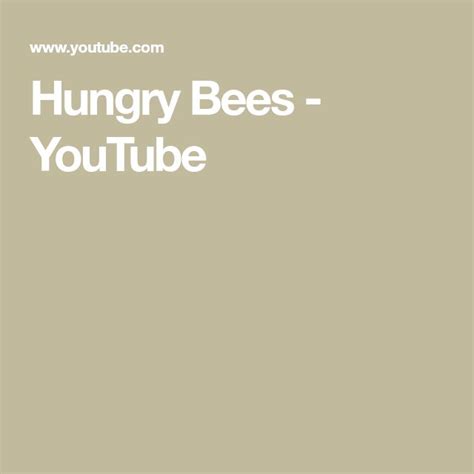 Hungry Bees Youtube Hungry Bee Youtube