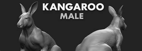 Kangaroo Male Topology Uv Map Flippednormals