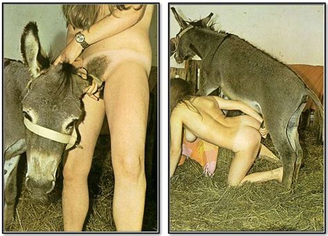 Donkey Fucks Woman Telegraph