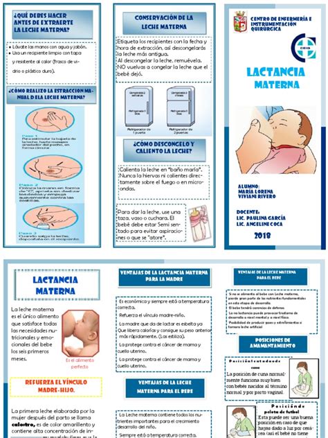 triptico lactancia materna pdf la leche materna leche