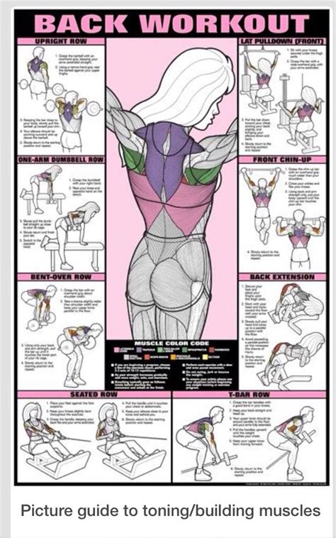 The back muscles enable you to stand up straight; Diagram of exercises that target specific upper back ...