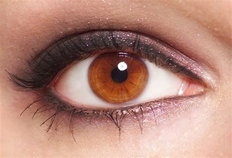Does Your Eye Color Affect Your Vision Siowfa16 Science In Our