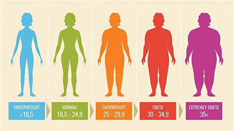 Bmi In Adults Is Yours Healthy And If Not How Can You Lose Weight