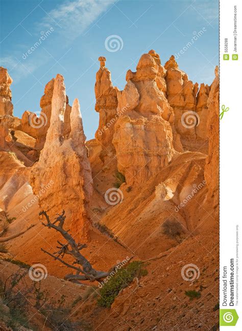 Red Pinnacles Hoodoos Of Bryce Canyon Stock Photo Image Of Plateau