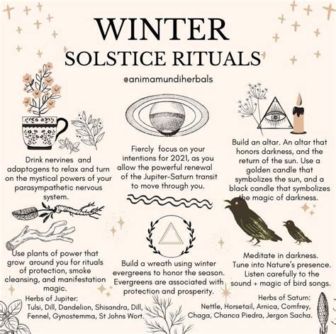Nervines Adaptogens To Instantly Calm Down Winter Solstice Winter Solstice Rituals Solstice