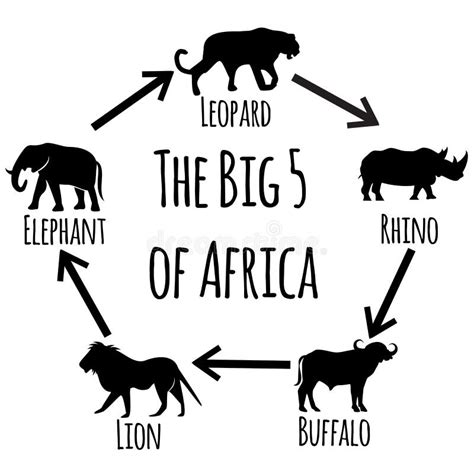 Safari Emblem With Big Five Animals Lion Elephant Rhino Leopard And