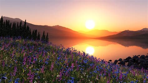 Sky Sun Sunset Mountain Tree Slope Meadow Flower Hd Wallpaper