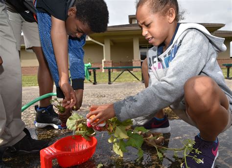 Health Lessons Come From School Garden
