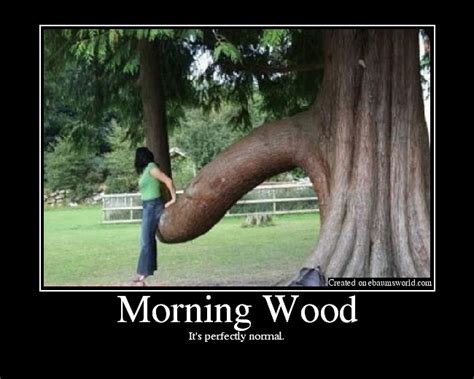 Morning Wood Picture Ebaums World