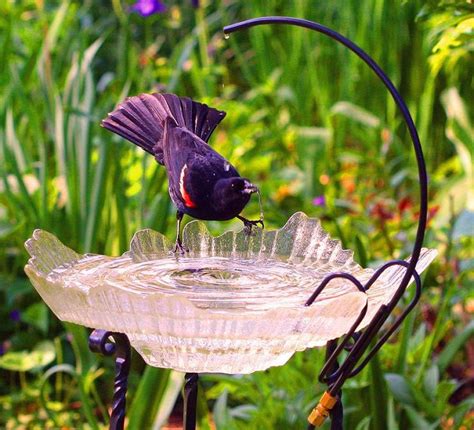 It has very difficult to understand. bird baths | Erva 15" Glass Multilevel Bird Bath - Clear Ice EVGLDHI | BIRD BATHS | Pinterest ...