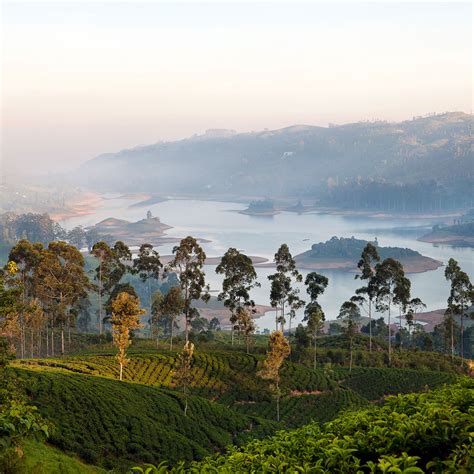 Ceylon Tea Trails All Inclusive Interior The Michelin Guide
