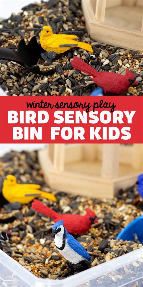 How To Make A Bird Sensory Bin In 2021 Sensory Bins Bird Sensory Bin