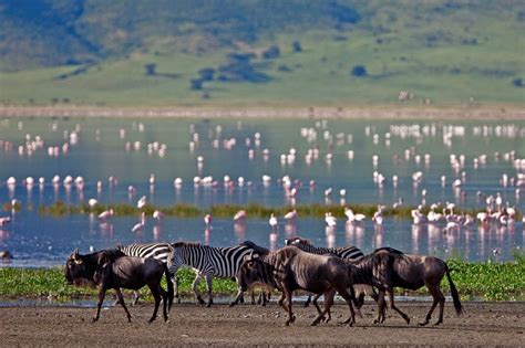 The Most Spectacular Lakes In Tanzania See Africa Today