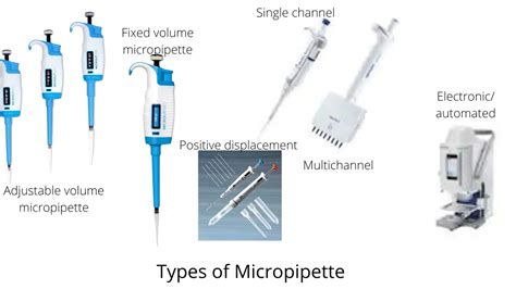 Micropipette Parts Types And Uses Microbe Online