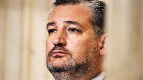 A Clip Of Ted Cruz Versus A Fly Has The Internet Buzzing