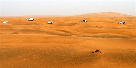 Sheikh Mohammed Unveils New Dubai Desert Reserve And 100km Trekking Path