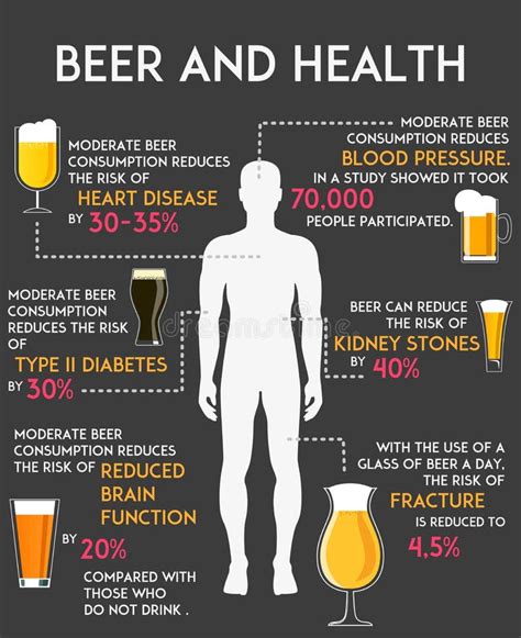 Drinking Alcohol Influence Your Body And Health Infographics Vector Illustration Beer