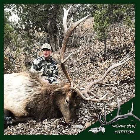 Late Season New Mexico Rifle Hunts Compass West Outfitters Compass