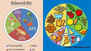 Perfect Balanced Diet Chart For Lab Test Information