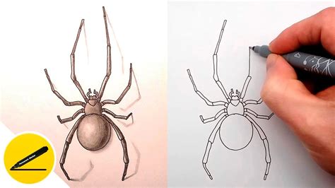 How To Draw A Spider Step By Step Drawing Tutorial Video Youtube
