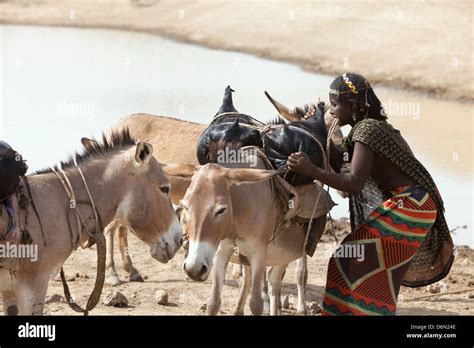Semera Ethiopia Nomads Fetching Water At A Water Point Stock Photo
