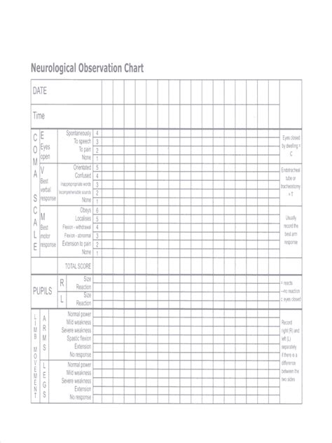 Sample Example And Format Templates Free Medical Charting Templates