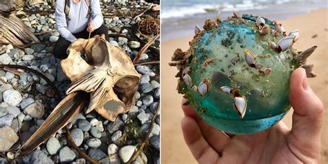 35 Fascinating Things People Have Found On The Beach