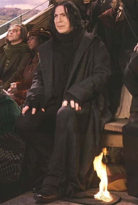 alan rickman as severus snape in harry potter and the philosopher s stone 2001 severus