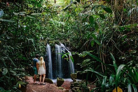 Atherton Tablelands Tour World Heritage Rainforest Breathtaking