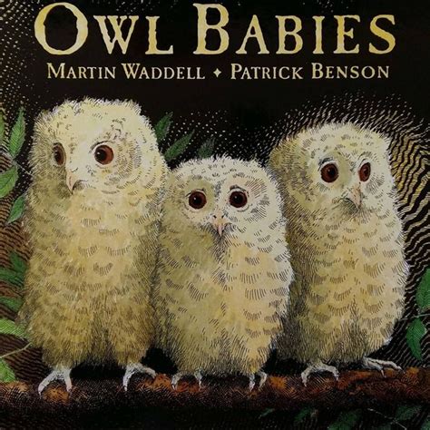 Therapeutic Book Review Owl Babies By Martin Waddell Baby Owls Owl
