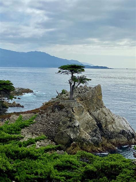 The Lone Cypress Pebble Beach Ca Photograph By Aaron M Thompson Fine