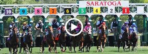 Contact us #vivobet6 now ! Watch Live Horse Racing Online | Horse racing, Racing, Horses