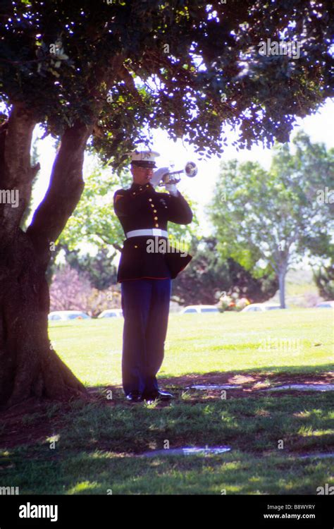 Marine Bugle Taps Funeral Ceremony Cemetery Bury Burial Memory