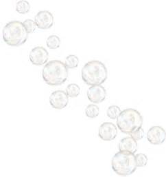 Bubbles Png Images Transparent Free Download